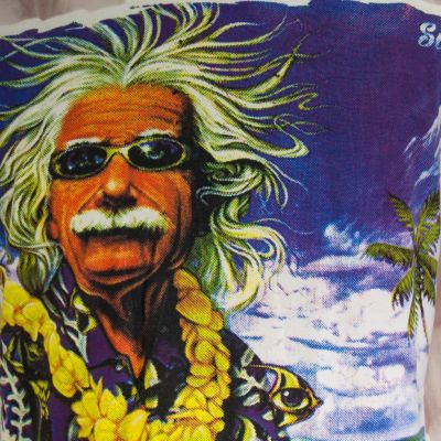 T-shirt da uomo Sure Einstein on Holiday Brown Thailand