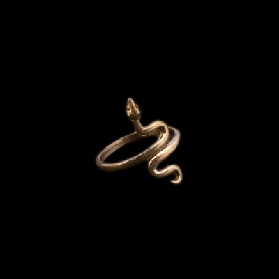 Anello in ottone Grass Snake | 660792