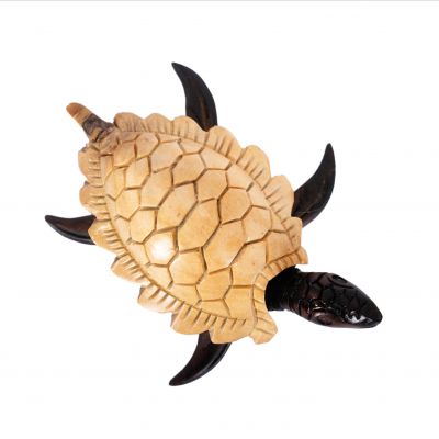 Figura in legno Tartaruga d'acqua bicolore Indonesia