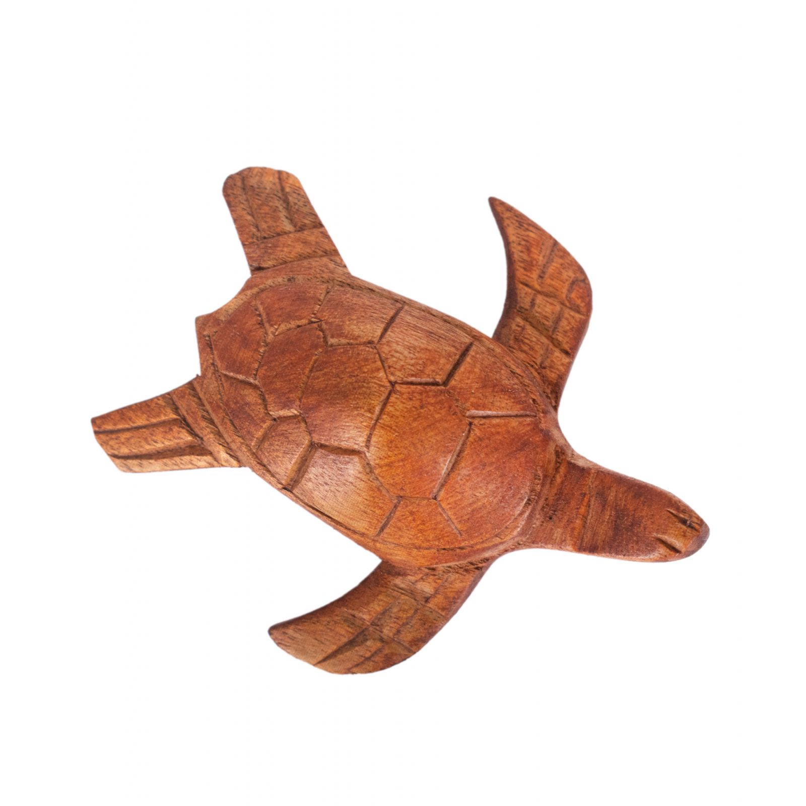 Figura in legno Tartaruga d'acqua piccola Indonesia